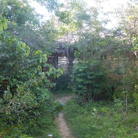 Wasini Island Bandas Экстерьер фото