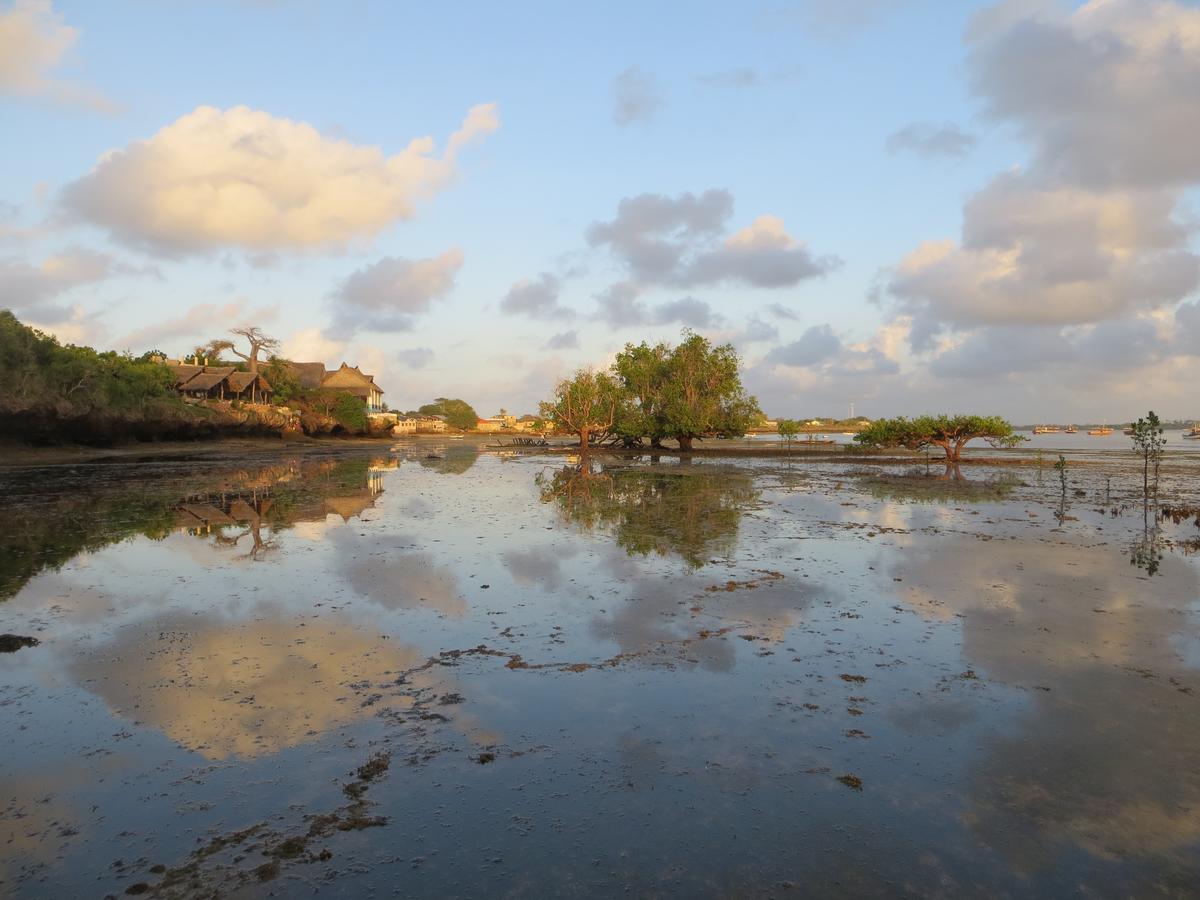 Wasini Island Bandas Экстерьер фото